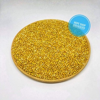 100g Hạt kê vàng cho Hamster, Chim, Vẹt, Yến Phụng...