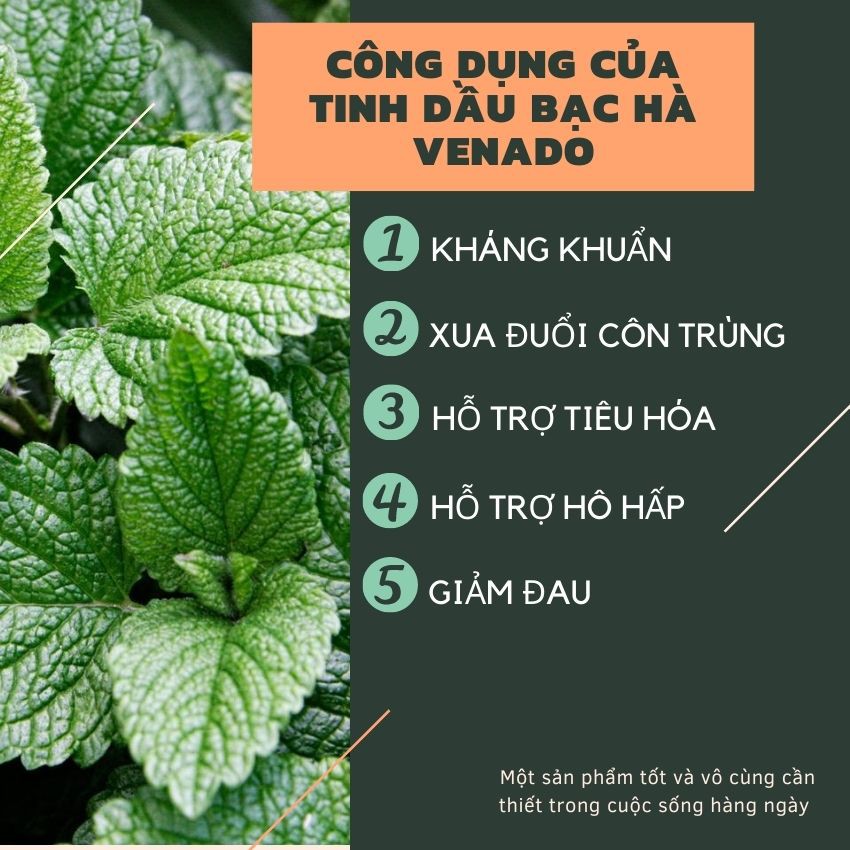 Tinh dầu thiên nhiên Bạc Hà nguyên chất 100% Venado peppermint essential oils