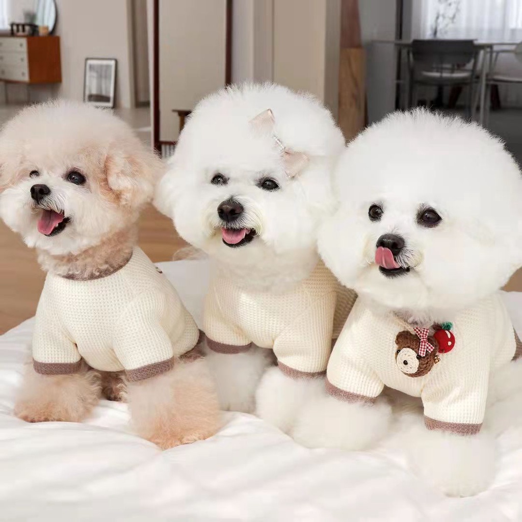 áo Chó Áo Thun Hoạt Hình Cho Thú Cưng áo Cho Chó