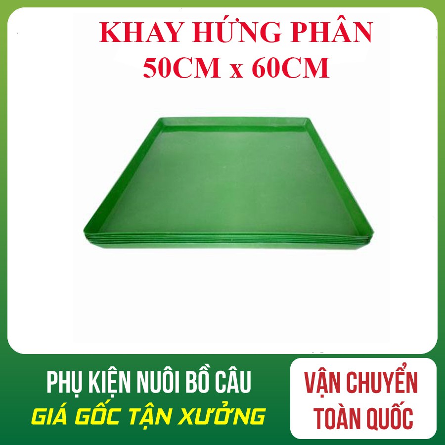 KHAY HỨNG PHÂN LỒNG CHIM BỒ CÂU CÔNG NGHIỆP 60*50 cm