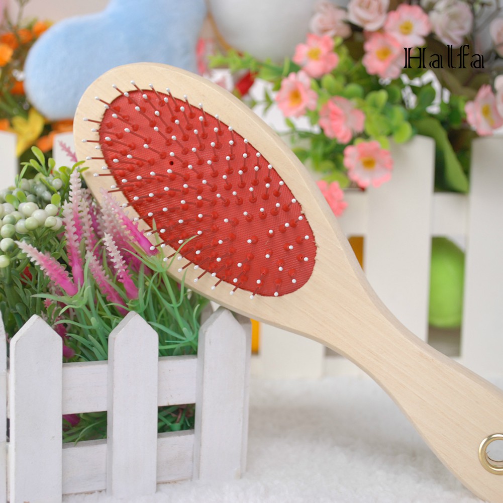 (Hàng Mới Về) Lược Chải Lông Cho Thú Cưng Hai Mặt Tiện Dụng