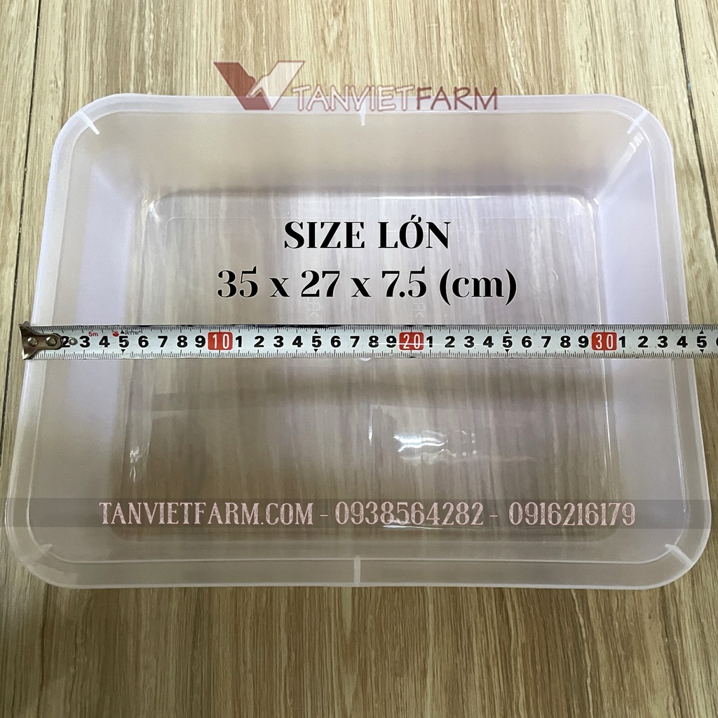 Khay/ Máng chữ nhật đa năng đựng thực phẩm, giấy văn phòng | Thau tắm cho Vẹt, Bồ câu, Chim cảnh nhựa PP trắng trong