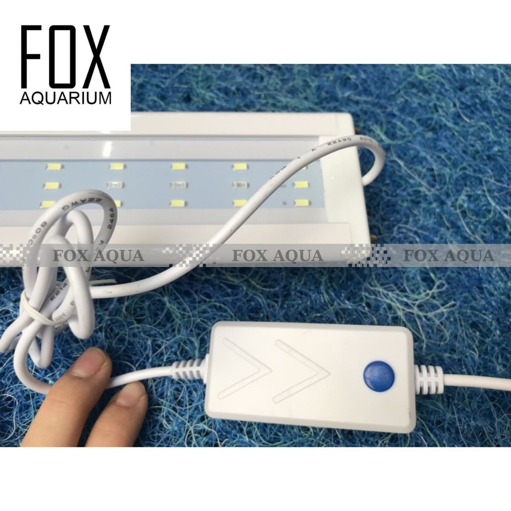 Đèn Led 3 Chế Độ Màu Gác Thành Bể Cá, Bể Thủy Sinh 30cm, 40cm, 50cm