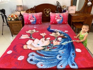 Drap thun Ý( thun lạnh 3D)