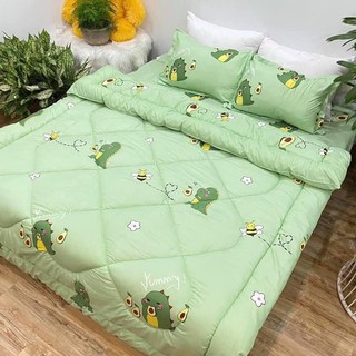Bộ Chăn Ga Gối Cotton Poly PLX14 mềm mát