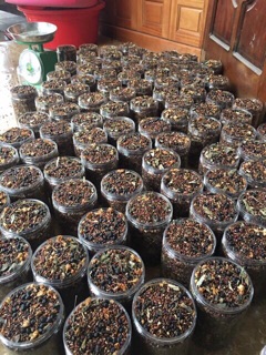 Trà Ngũ Cốc Hoa Thảo Mộc 400g