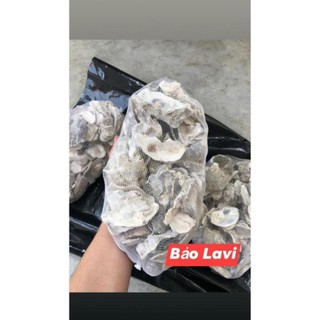 VỎ HÀU ION , vật liệu lọc giúp ổn định PH của hồ cá