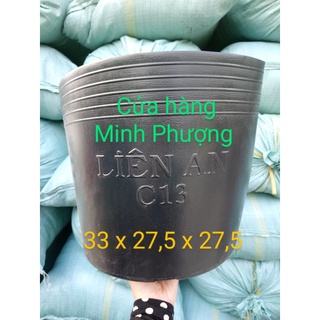 Chậu nhựa vót đen C13 (50 cái)