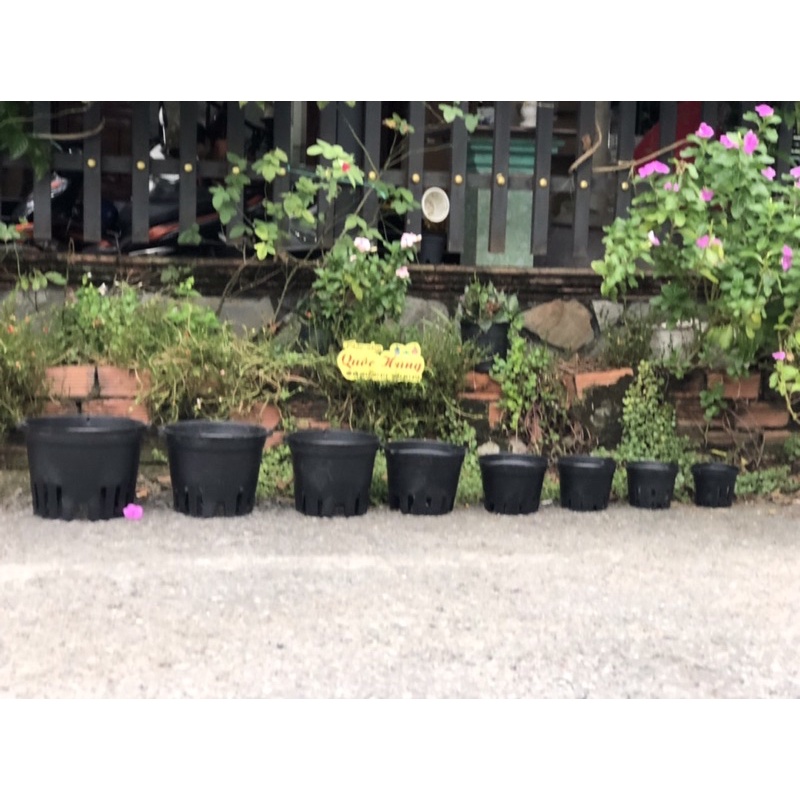Chậu trồng lan Đen phi 12cm/14cm/16cm/18cm/21cm