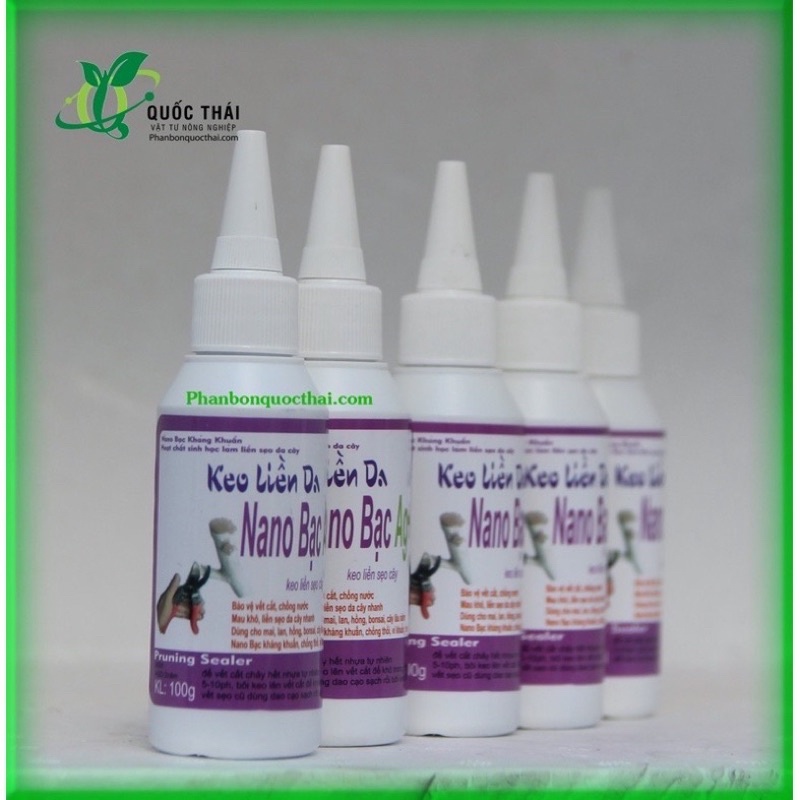 KEO LIỀN DA CÂY TREE SEAL, Keo Liền Sẹo Mỹ Morrisons