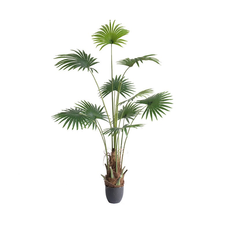 Cây Cọ Giả bằng nhựa trang trí nhà cửa - 175cm - CC286 - Jassi Decor