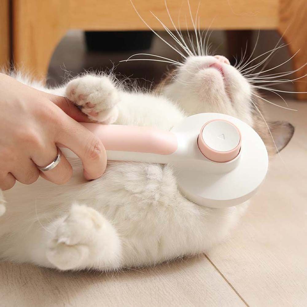 Lược chải lông thú cưng tự làm sạch đa năng
