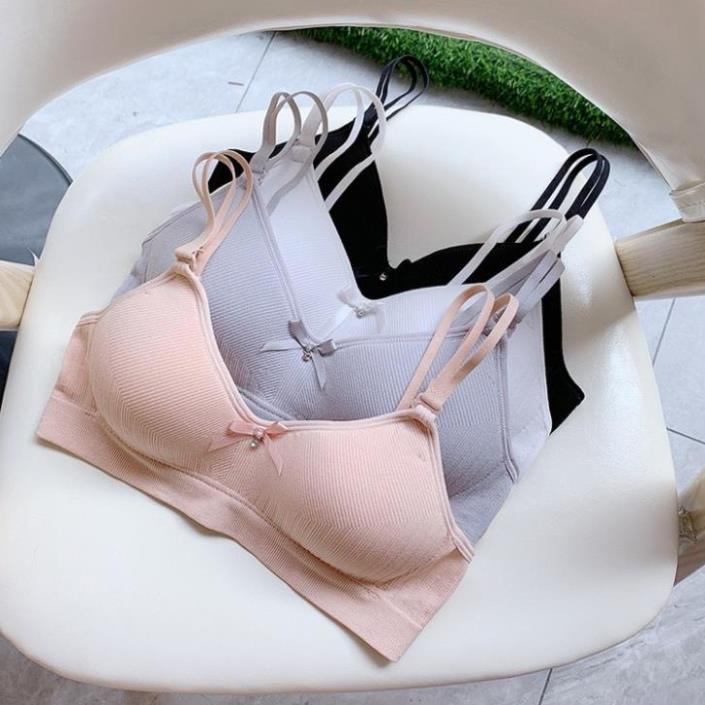 Áo lót bầu  không gọng đệm mỏng êm mềm, Áo bralette cài sau dây quai mảnh tháo được_AL62