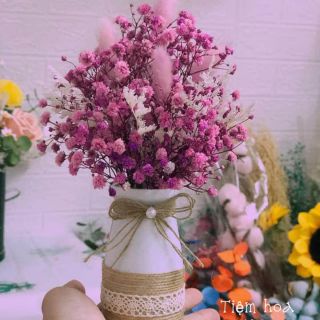 Lọ hoa baby mini xinh xắn