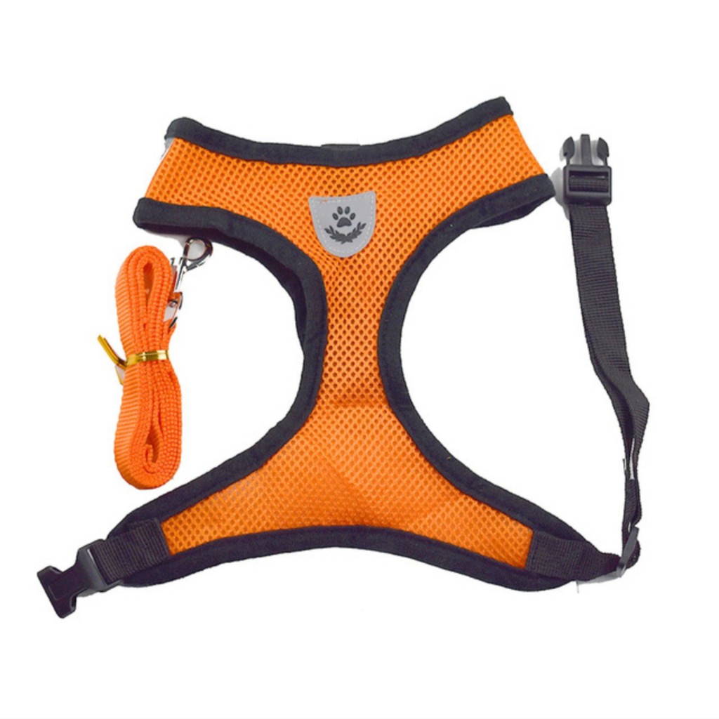 Áo Yếm Lưới Dễ Thương Kèm Dây Dắt Cùng Màu Cho Thú Cưng Đi Dạo