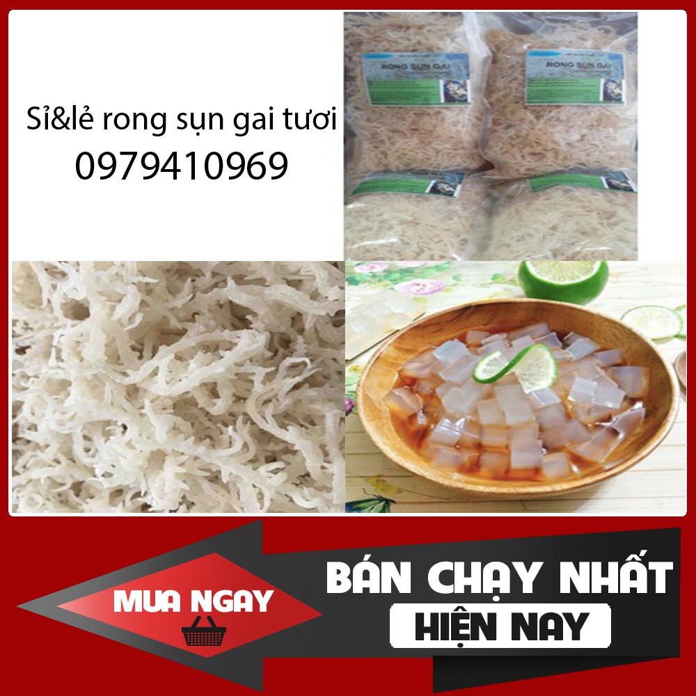 ❤❤ 1kg Rong sụn gai tươi - Rong biển