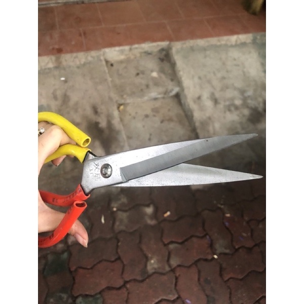 Kéo Cắt Lưỡi Thép Cán Bọc Nhựa 2 Màu Đổ Vàng 21cm 26cm
