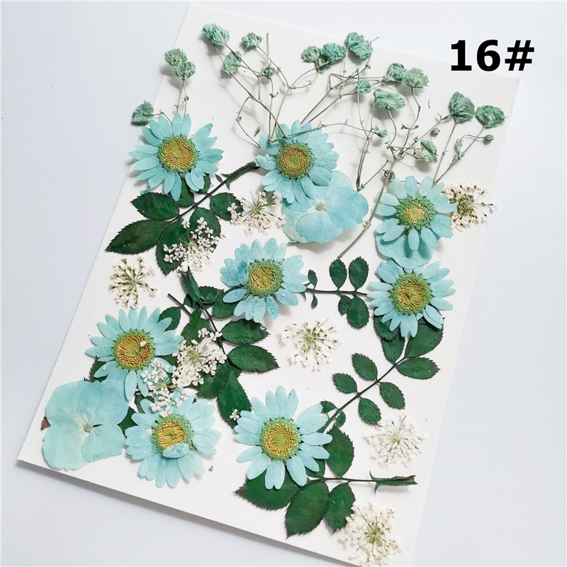 Phụ kiện dùng trang trí đám cưới kiểu hình hoa khô nhiều màu sắc DIY