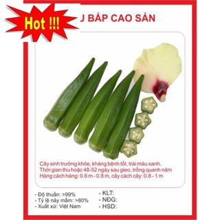 Hạt Giống Đậu Bắp Xanh 10 hạt