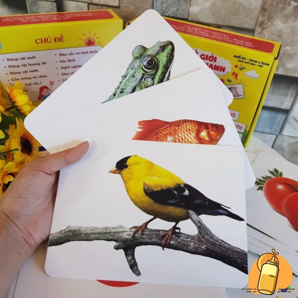 Thẻ Học Thông Minh cho bé loại to cứng  Đồ chơi giáo dục Flashcard cho bé GLENN DOMAN song ngữ