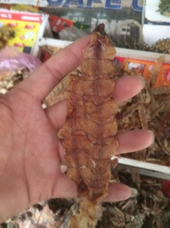 Khô tôm tít (bề bề)