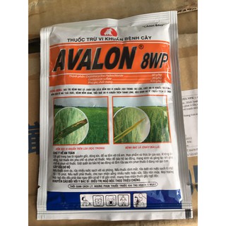 Thuốc Trừ Vi Khuẩn Bệnh Cây Avalon 8WP
