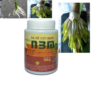 Thuốc kích thích ra rễ cực mạnh N3M