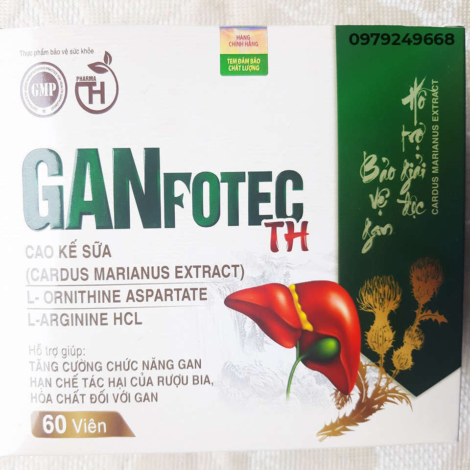 [GIÁ SỈ] GANFOTEC TH - Thanh nhiệt, giải độc gan, tăng cường chức năng gan, phục hồi tổn thương gan do bia rượu và các b