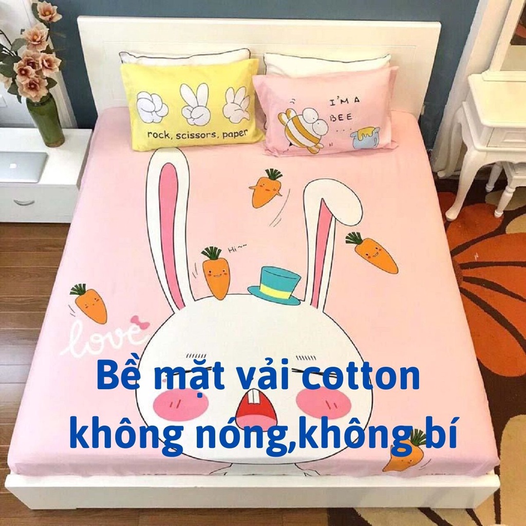 Ga chống thấm cotton cho bé cao cấp Hàn Quốc, drap chống thấm nước cotton loại 1 | BigBuy360 - bigbuy360.vn