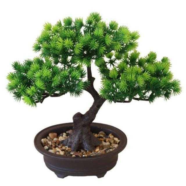 Chậu cây cảnh giả, cây thông bonsai xanh mát giống thật trang trí bàn, kệ tủ, tiểu cảnh Anzzar-02