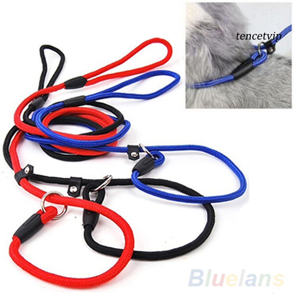 Dây Dắt Thú Cưng Đi Dạo Bằng Nylon Có Thể Điều Chỉnh Tiện Dụng