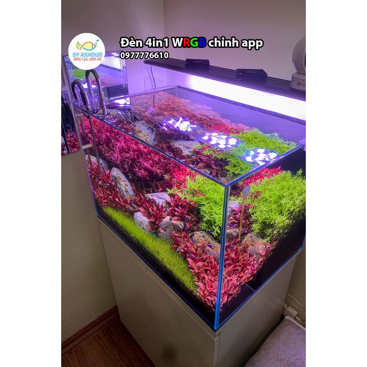 Đèn Chế Chỉnh App WRGB thủy sinh 20CM