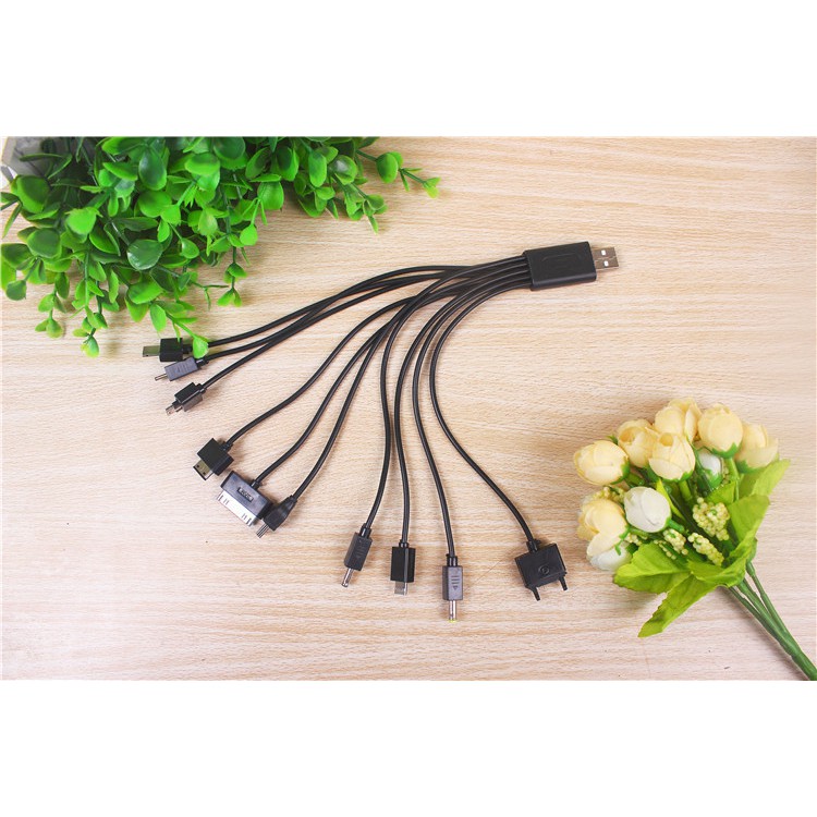 Dây cáp sạc điện thoại đa năng chia 10 đầu cổng USB