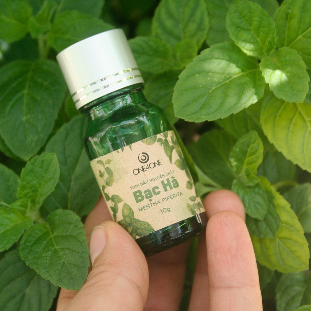 Tinh Dầu Bạc Hà Thiên Nhiên Nguyên Chất 100% One4One 10ml - Peppermint Essential Oil