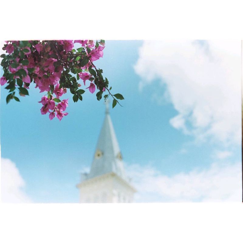 Film điện ảnh indate Kodak Vision 3 500T (hỗ trợ máy PnS)