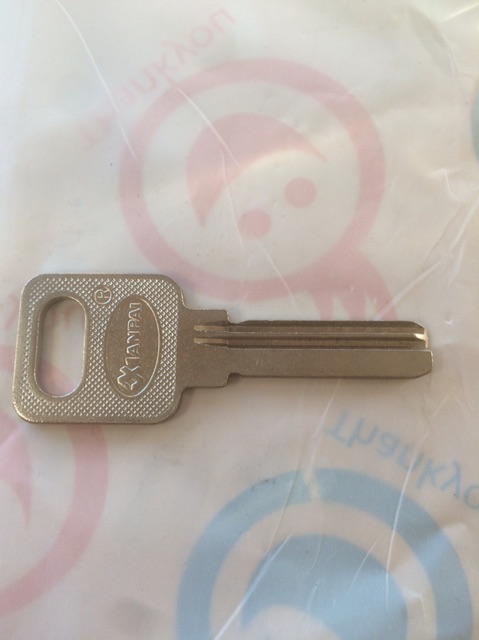 50 phôi chìa khoá chấm vi tính rảnh trái