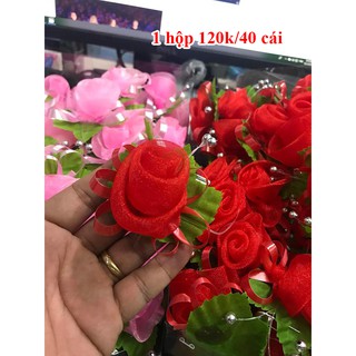 hoa cài áo hai họ