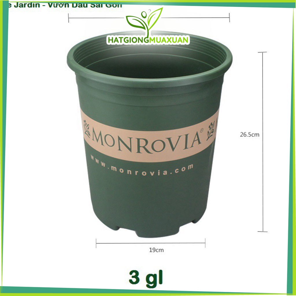 [HOT] Chậu Trồng Cây Monrovia 3gl &quot;24x26.5&quot; c/lượng, hg C/ty.