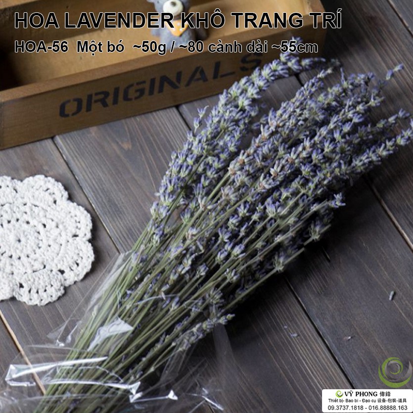 HOA LAVENDER KHÔ TRANG TRÍ HOA-56