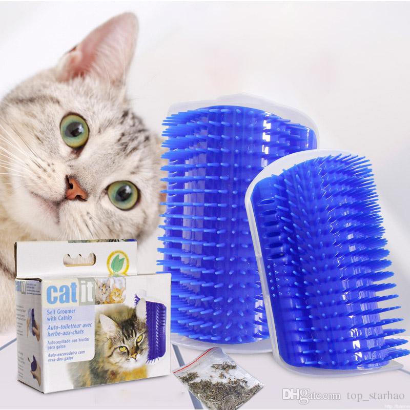 CỌ CÀ MÁ CHO MÈO CAT IT