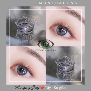 Lens xám tây MINI PONY