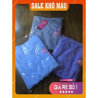 Bộ đi lễ chùa