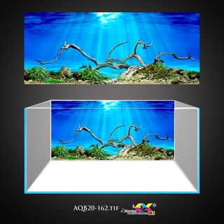 Tranh 3D - phông nền dán hồ cá, bể thuỷ sinh siêu đẹp và nét, có keo sẵn trên bề mặt, có thể in theo kích thước yêu cầu