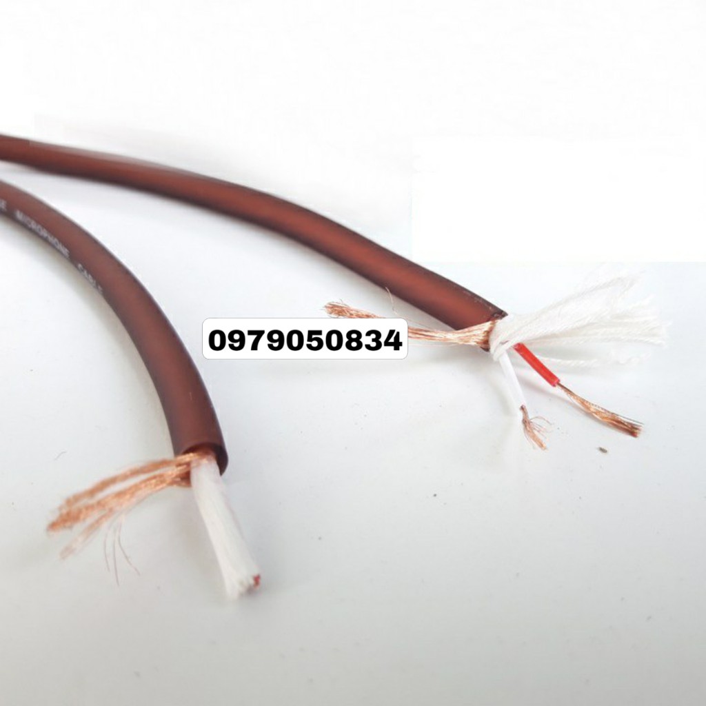 2 dây kết nối âm thanh canon cái ra 6li loại 80cm- Thuận Bình thiết bị âm thanh