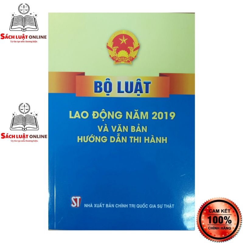 Sách - Bộ luật Lao động năm 2019 và văn bản hướng dẫn thi hành