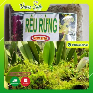 Rêu rừng loại dùng trồng tất cả hoa Lan
