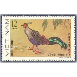 Tem sưu tập MS 354 Tem CTO Việt Nam Chim lông đẹp 1979.