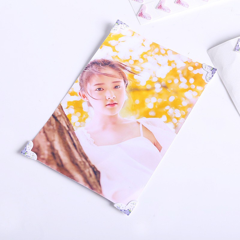 Miếng dán góc ảnh hoa lá cành (DG04)