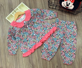 Sỉ đồ carter bé gái