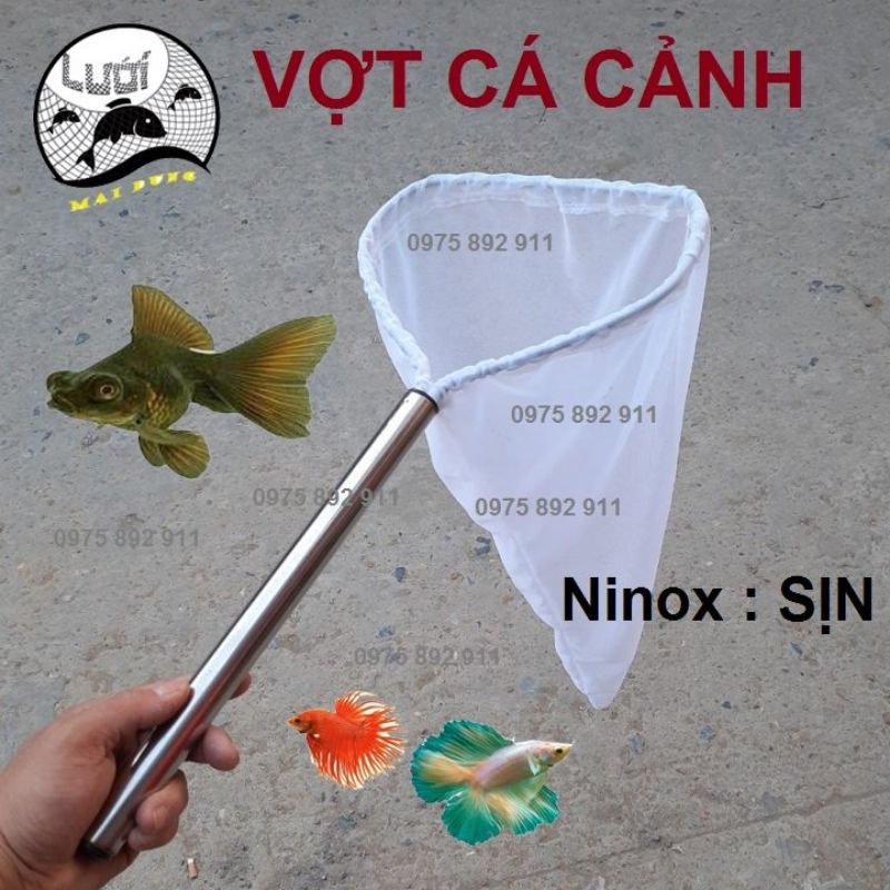 Vợt cá cảnh - loại ninox sịn